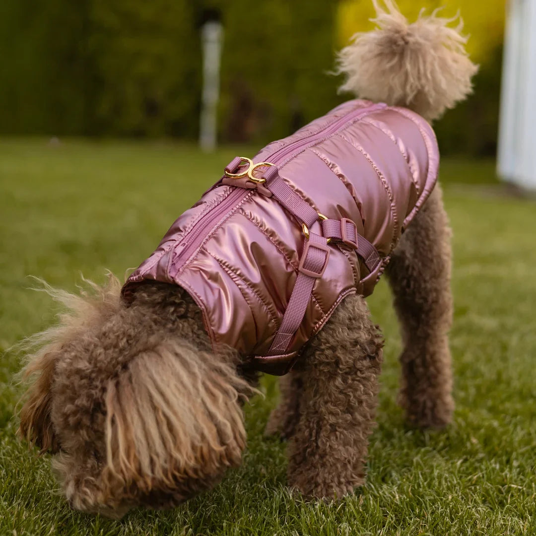 Zimní bunda pro psa 2v1 – zateplená a voděodolná - růžová