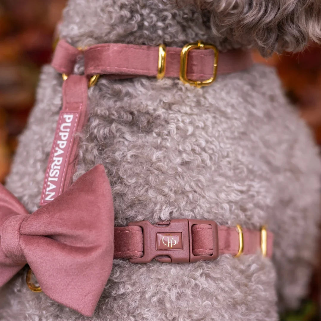 Welurowe szelki guard dla psa z kokardą 2.0 - ceglasty róż