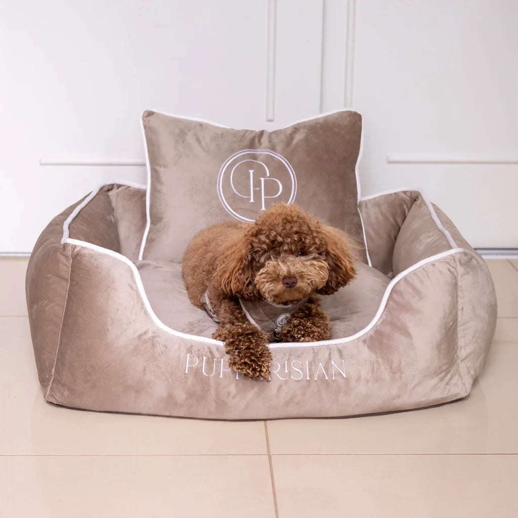 Sametový pelíšek pro psa – béžový