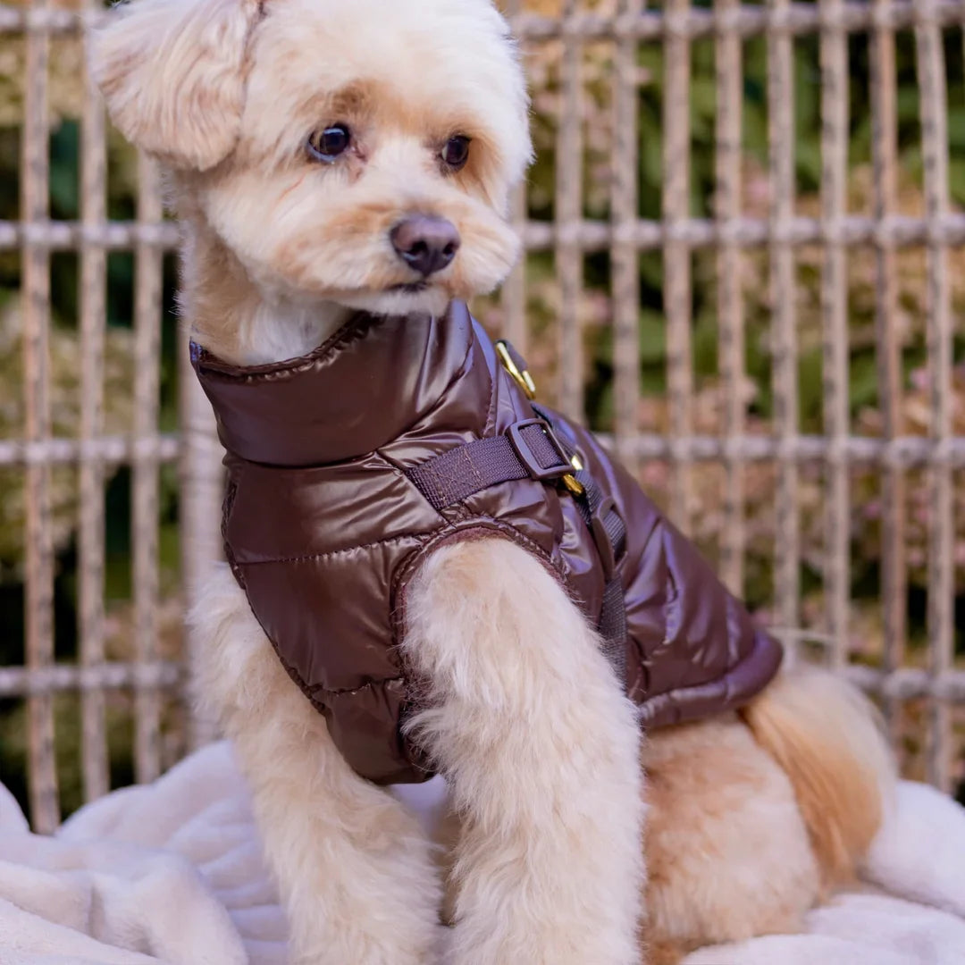 Kurtka dla psa zimowa 2w1 ocieplana wodoodporna - Brązowa