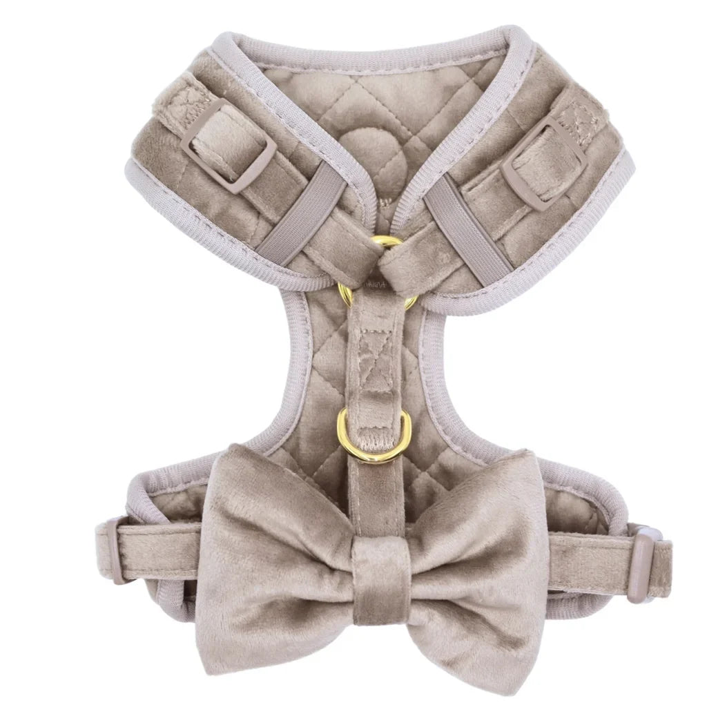 Sametový motýlek pro psa – béžový