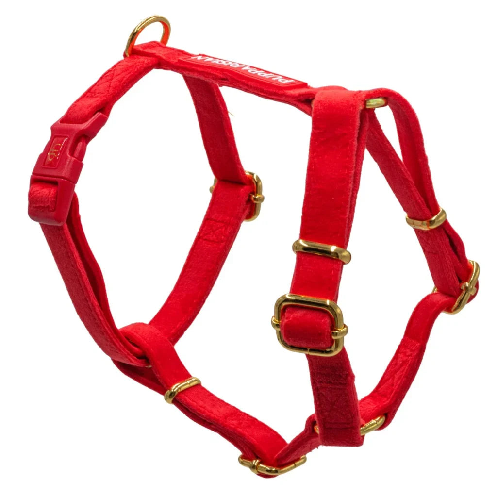 Sametový postroj typu guard pro psa 2.0 – červený