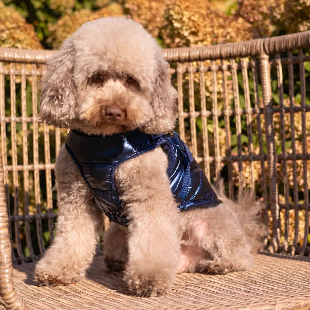 Kurtka dla psa zimowa 2w1 ocieplana wodoodporna - Granatowa