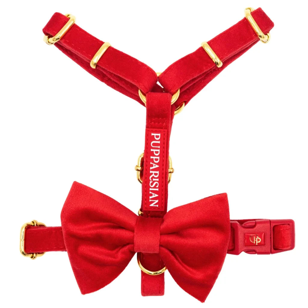 Sametový postroj typu guard pro psa 2.0 – červený