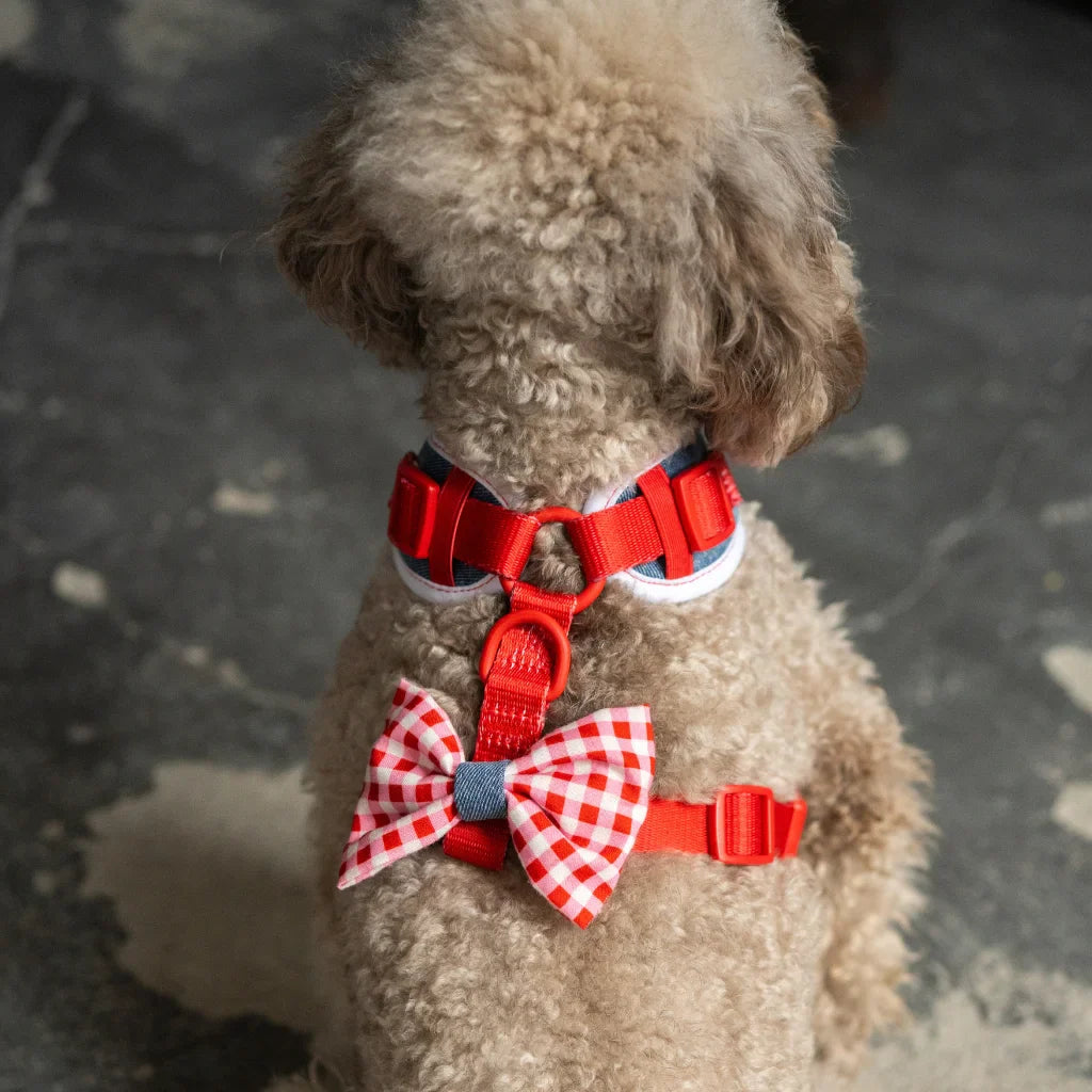 Beztlakový postroj pro psa – jeansový