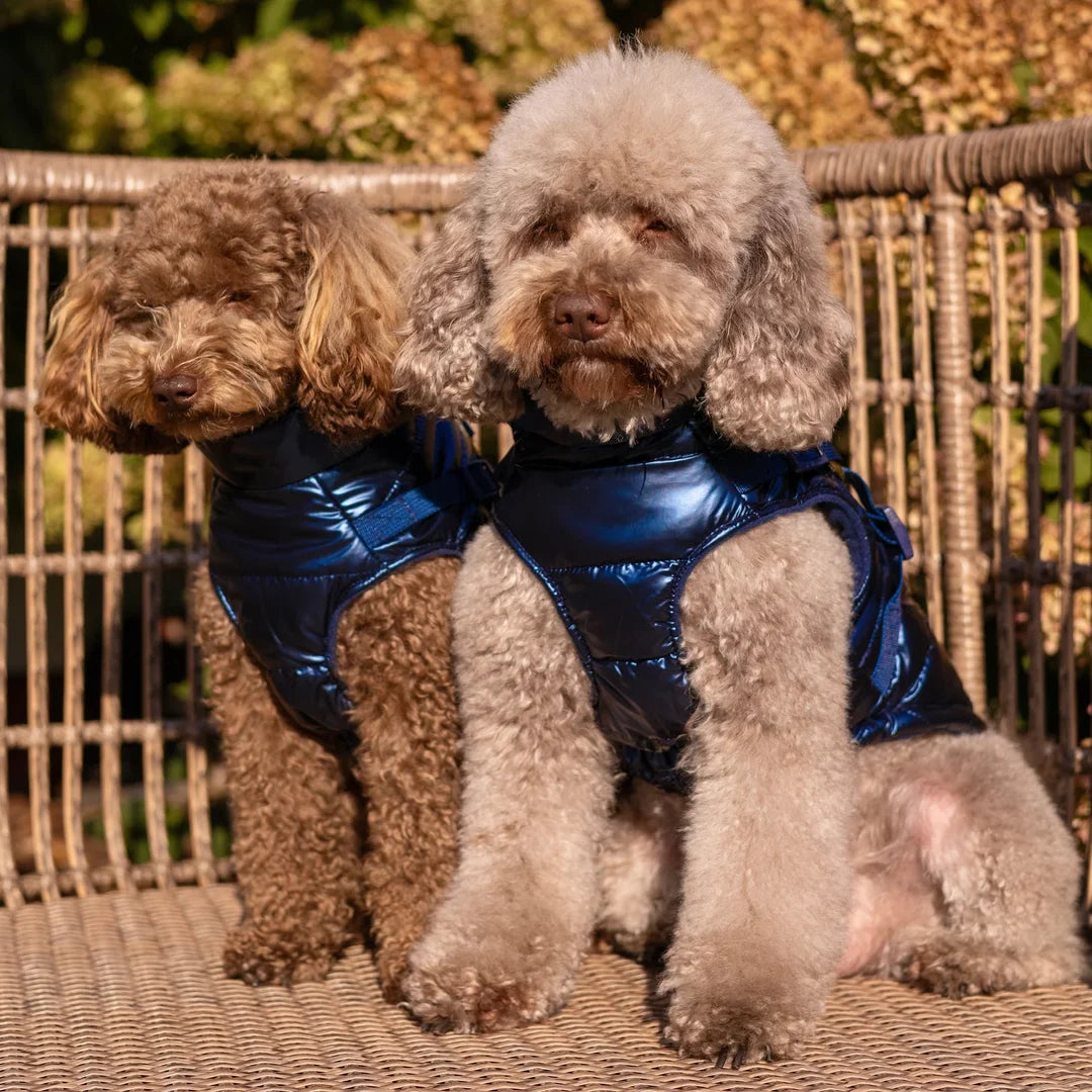 Kurtka dla psa zimowa 2w1 ocieplana wodoodporna - Granatowa