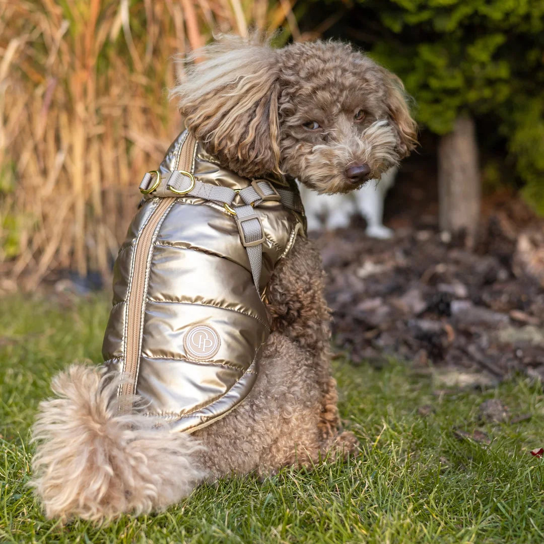Kurtka dla psa zimowa 2w1 ocieplana wodoodporna - Złota