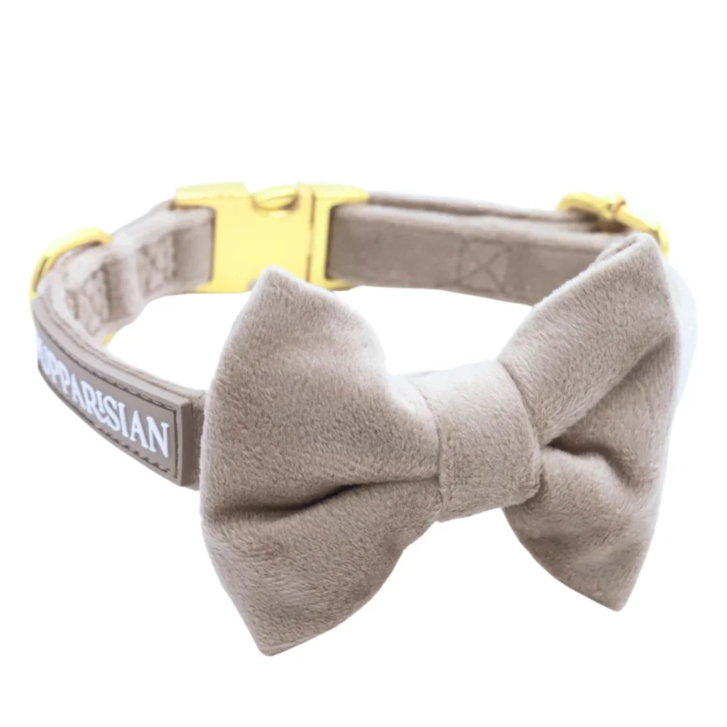 Sametový obojek pro psa – béžový