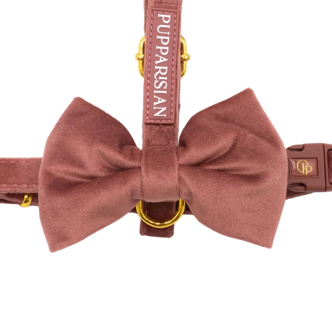 Welurowe szelki guard dla psa z kokardą 2.0 - ceglasty róż