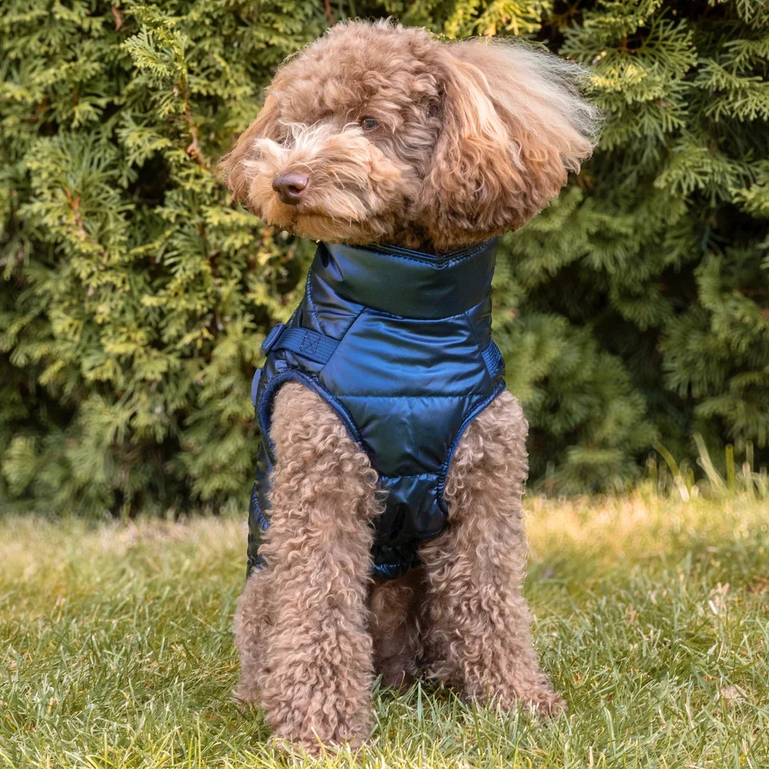 Kurtka dla psa zimowa 2w1 ocieplana wodoodporna - Granatowa