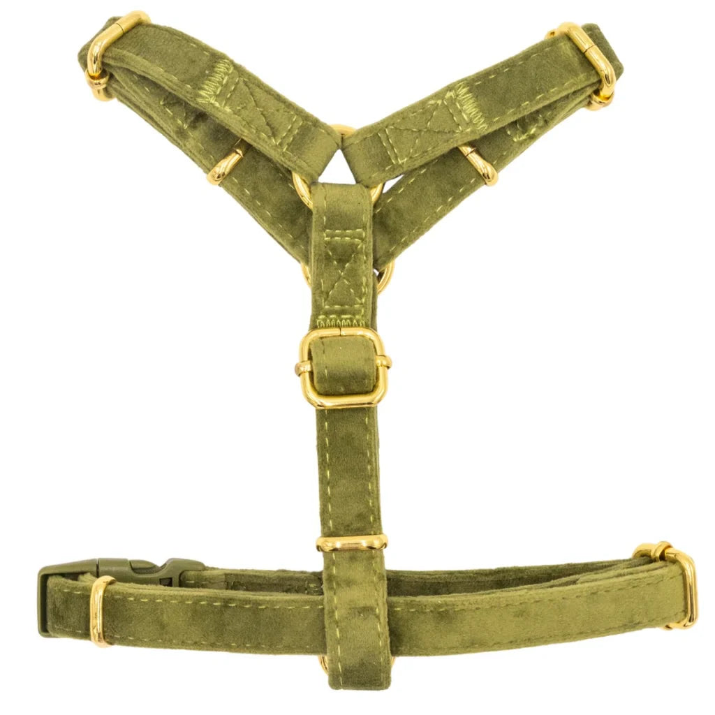 Sametový postroj typu guard pro psa 2.0 – olivově zelený