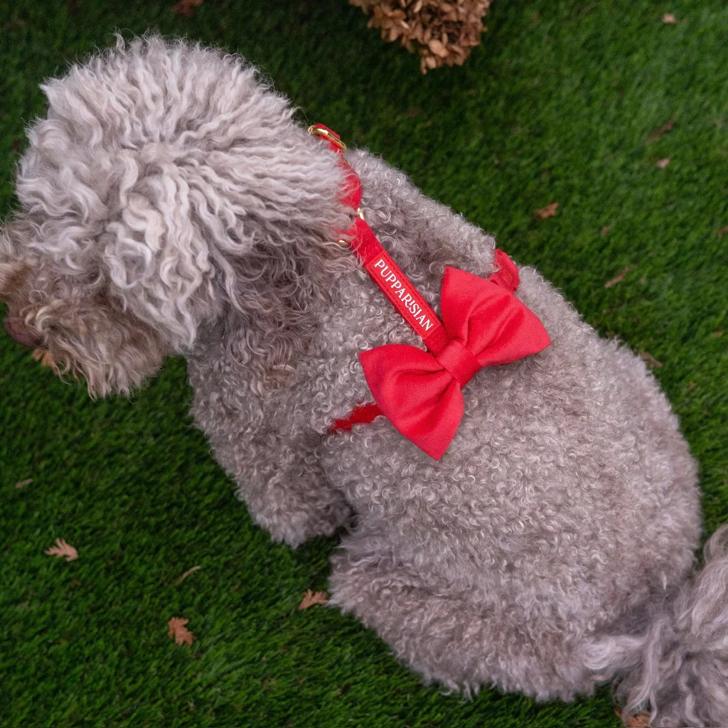 Sametový postroj typu guard pro psa s mašlí 2.0 – červený