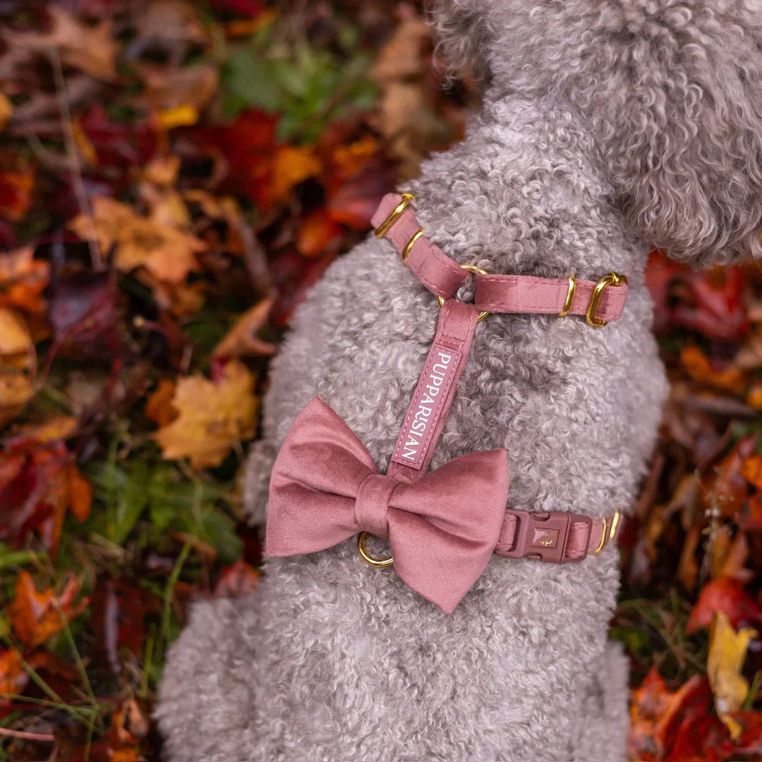 Welurowe szelki guard dla psa 2.0 - ceglasty róż