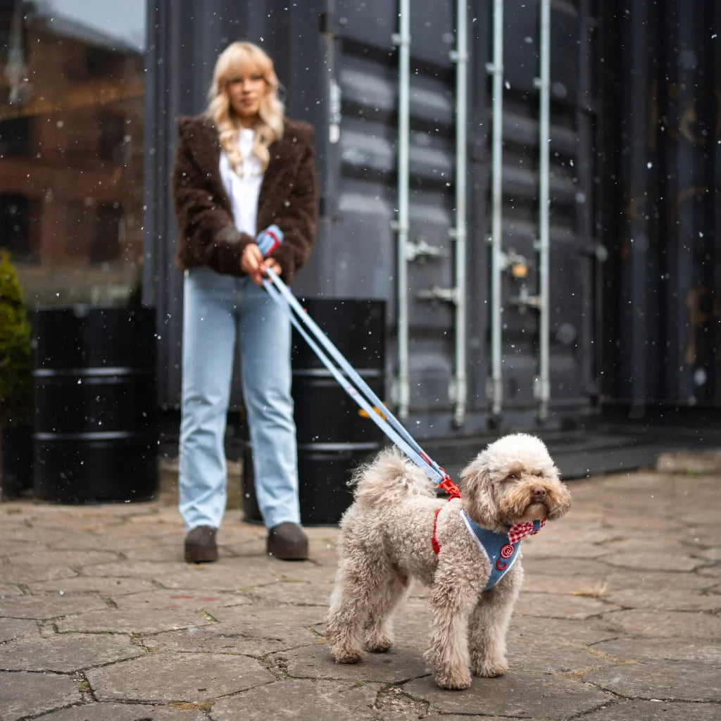 Přepínací vodítko pro psa 3 m – jeansové