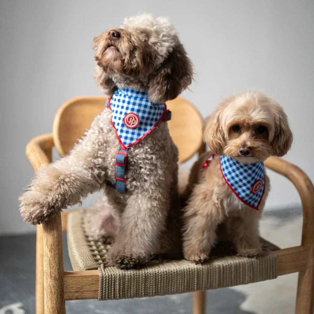 Bandana pro psa v kostce