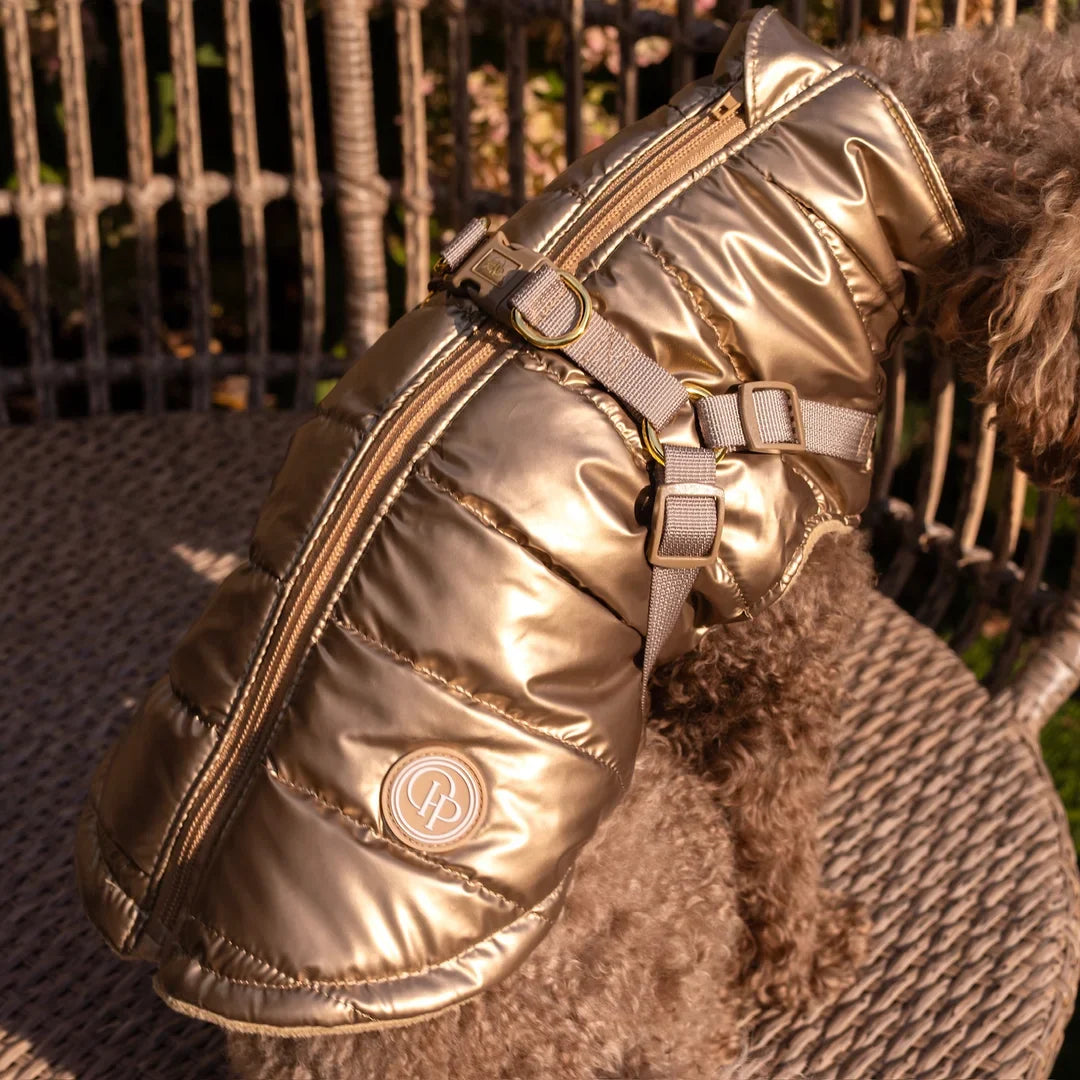 Kurtka dla psa zimowa 2w1 ocieplana wodoodporna - Złota