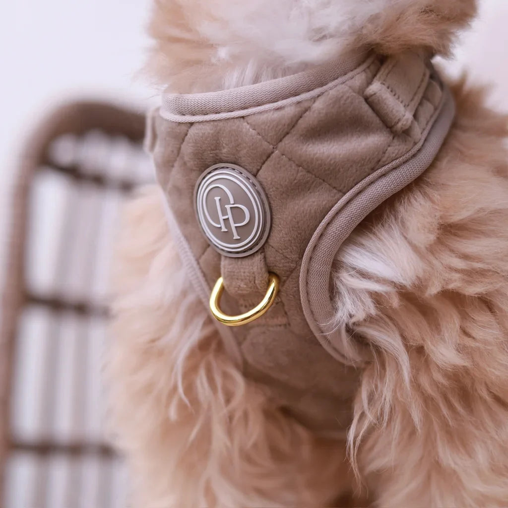 Sametový beztlakový postroj pro psa – béžový