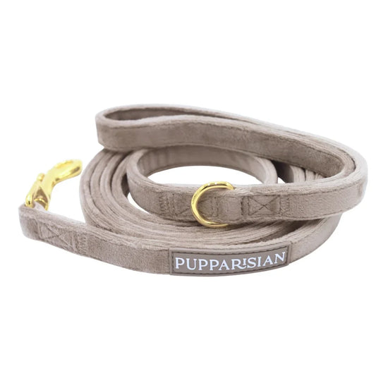 Sametové městské vodítko pro psa – béžové 190 cm