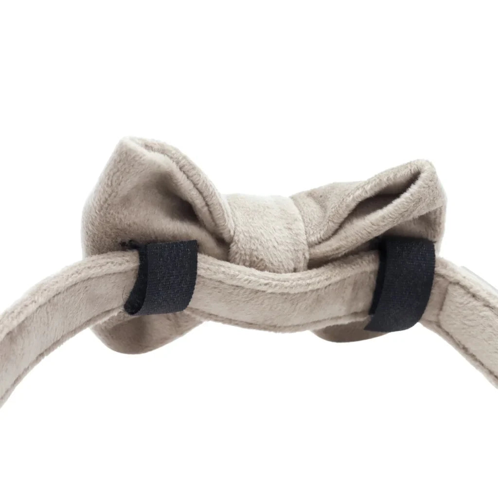 Sametový motýlek pro psa – béžový