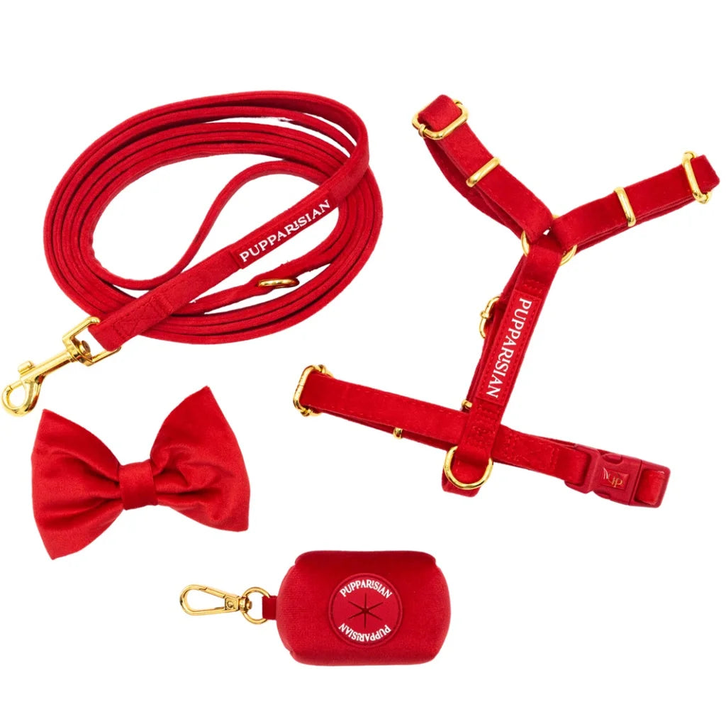 Sametový postroj typu guard pro psa s mašlí 2.0 – červený