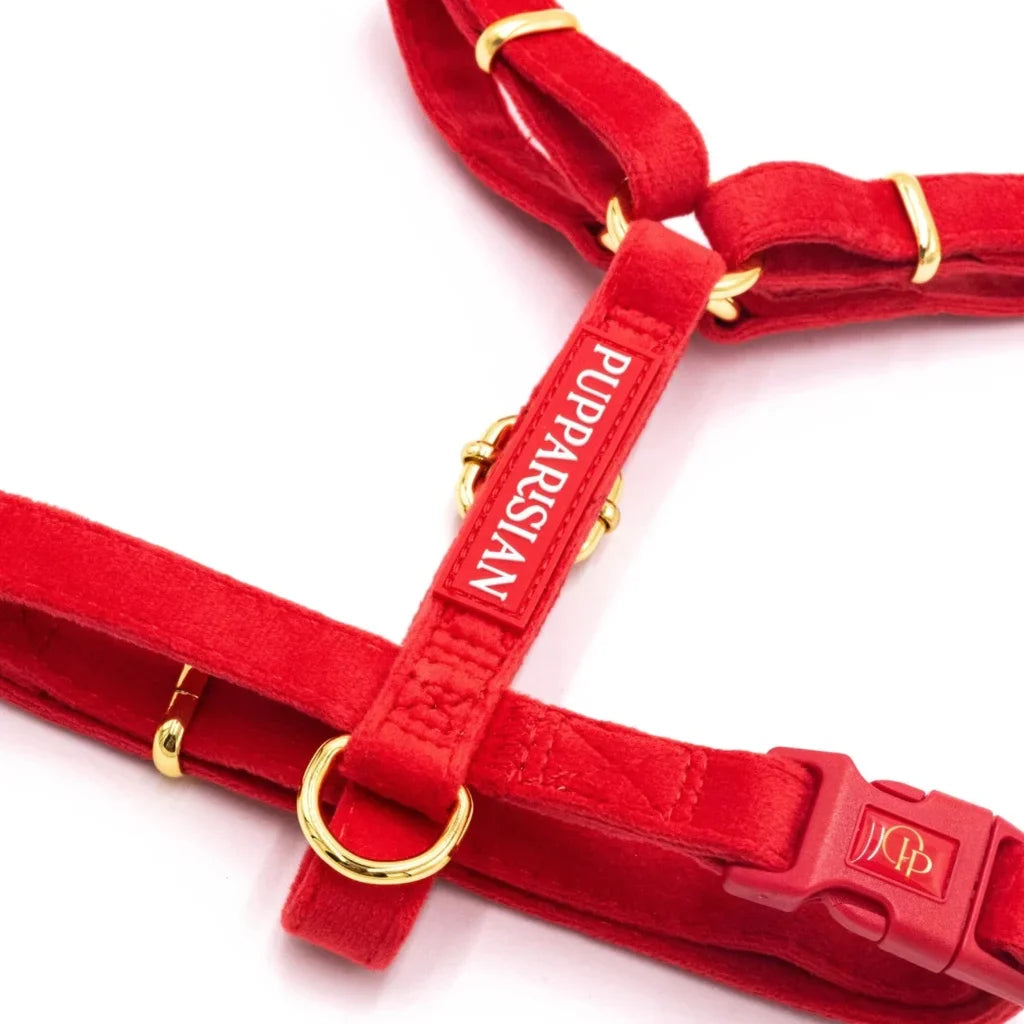 Sametový postroj typu guard pro psa s mašlí 2.0 – červený