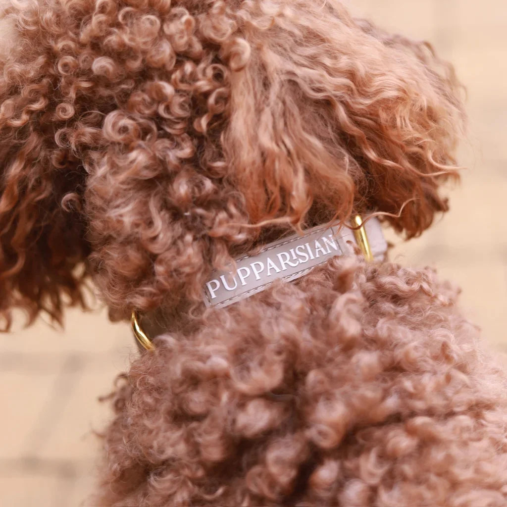 Sametový obojek s motýlkem pro psa – béžový