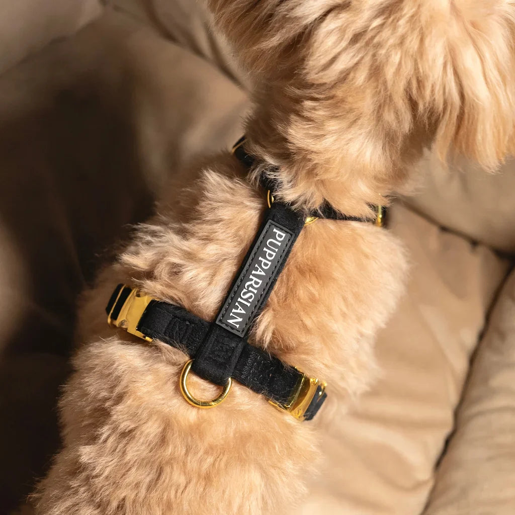Postroj typu guard pro psa s mašlí – černý