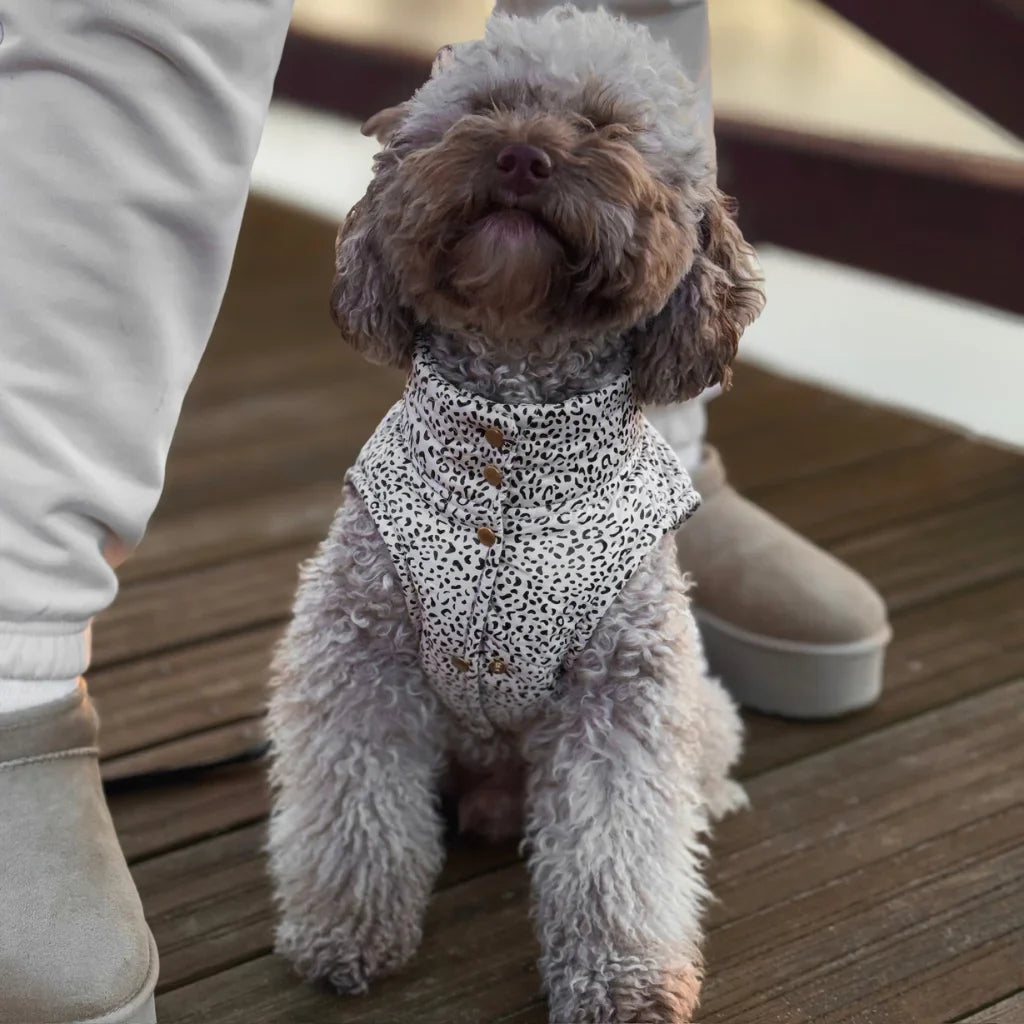 Zimní bunda pro psa s leopardím vzorem – světle béžová