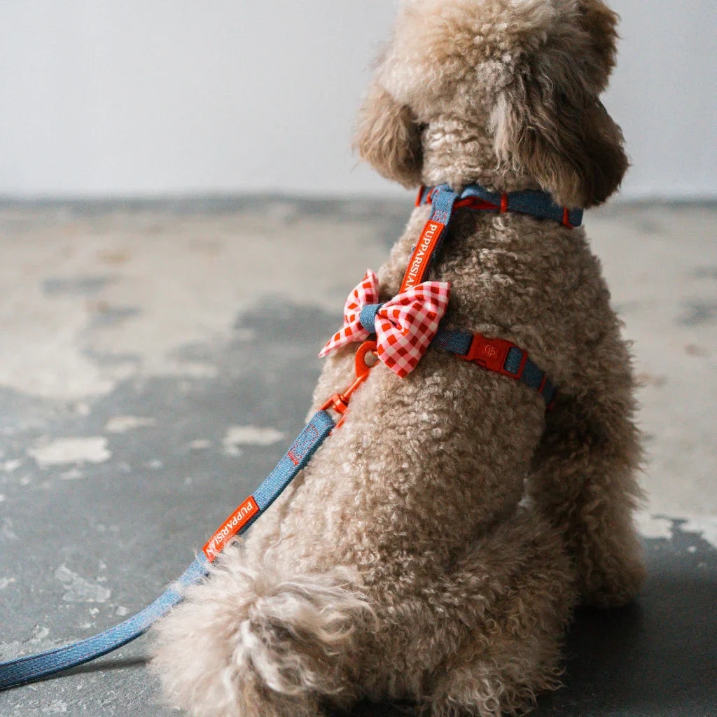 Městské vodítko pro psa – jeansové 190 cm