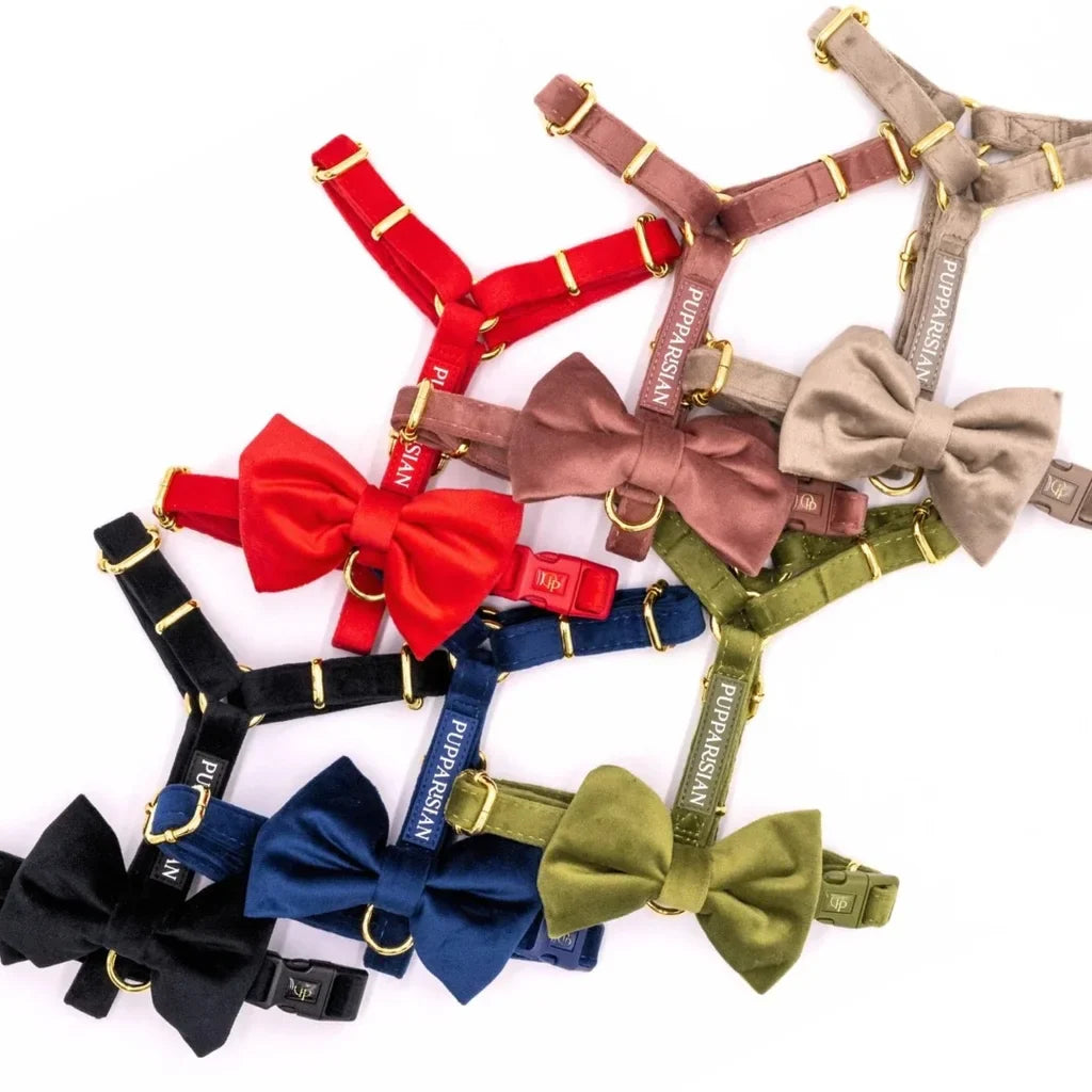 Sametový postroj typu guard pro psa s mašlí 2.0 – červený