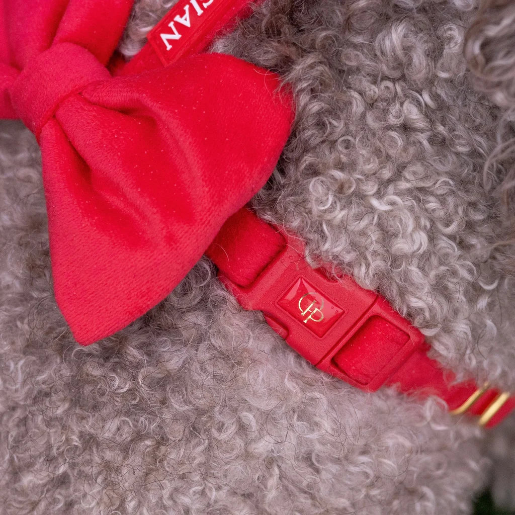 Sametový postroj typu guard pro psa s mašlí 2.0 – červený