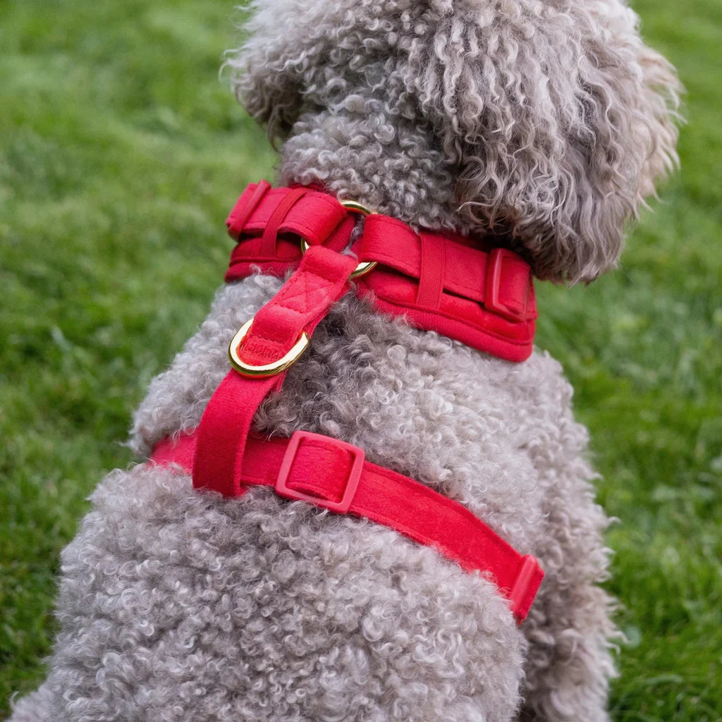 Sametový beztlakový postroj pro psa 2.0 – červený