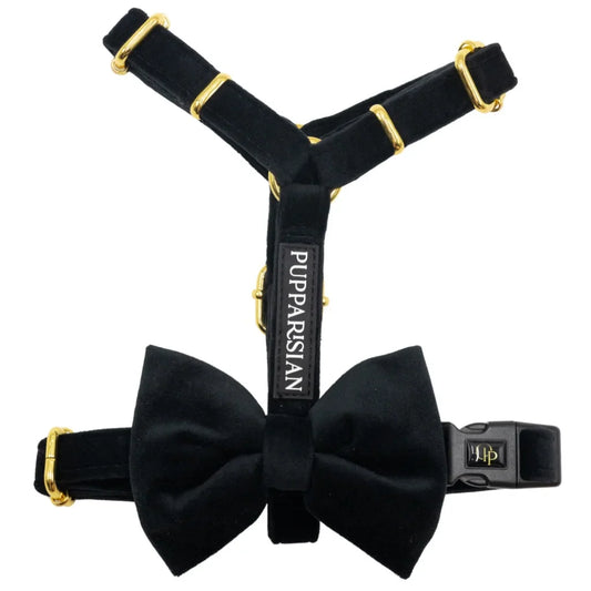 Sametový postroj typu guard pro psa s mašlí 2.0 – černý