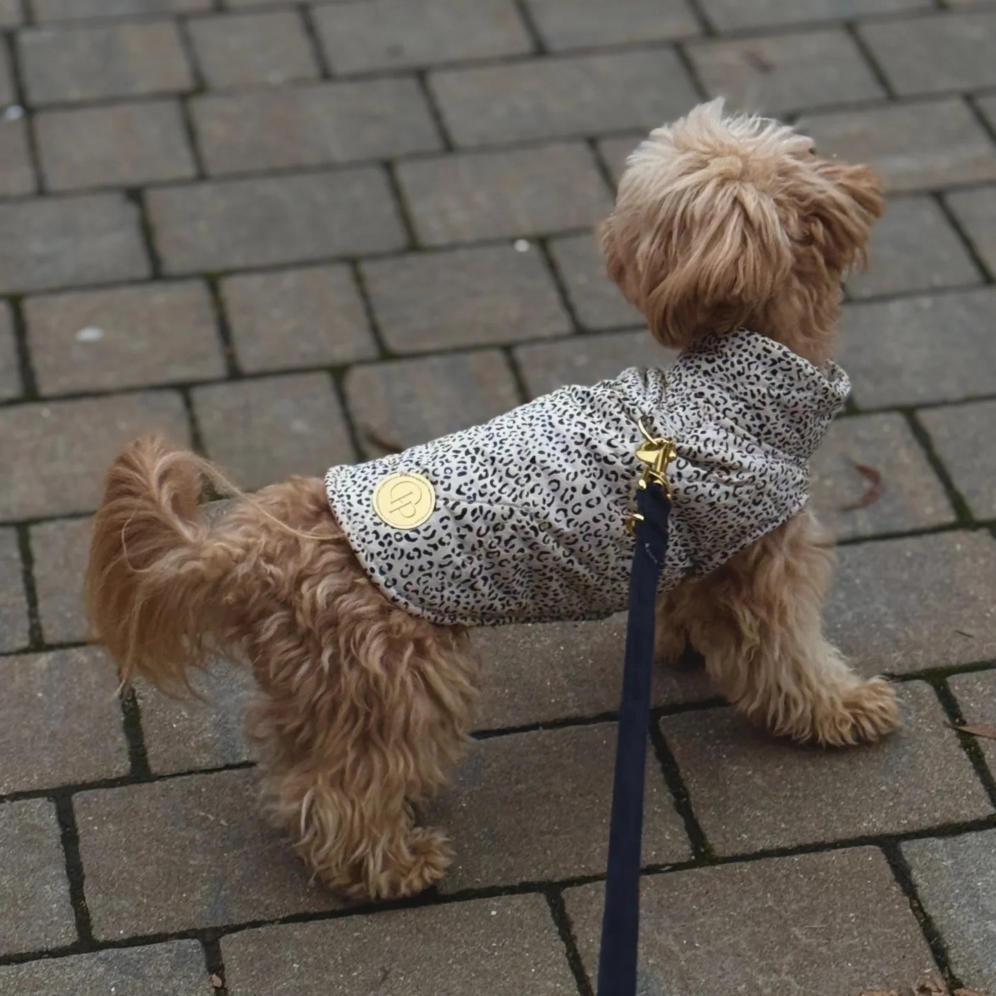 Zimní bunda pro psa s leopardím vzorem – světle béžová