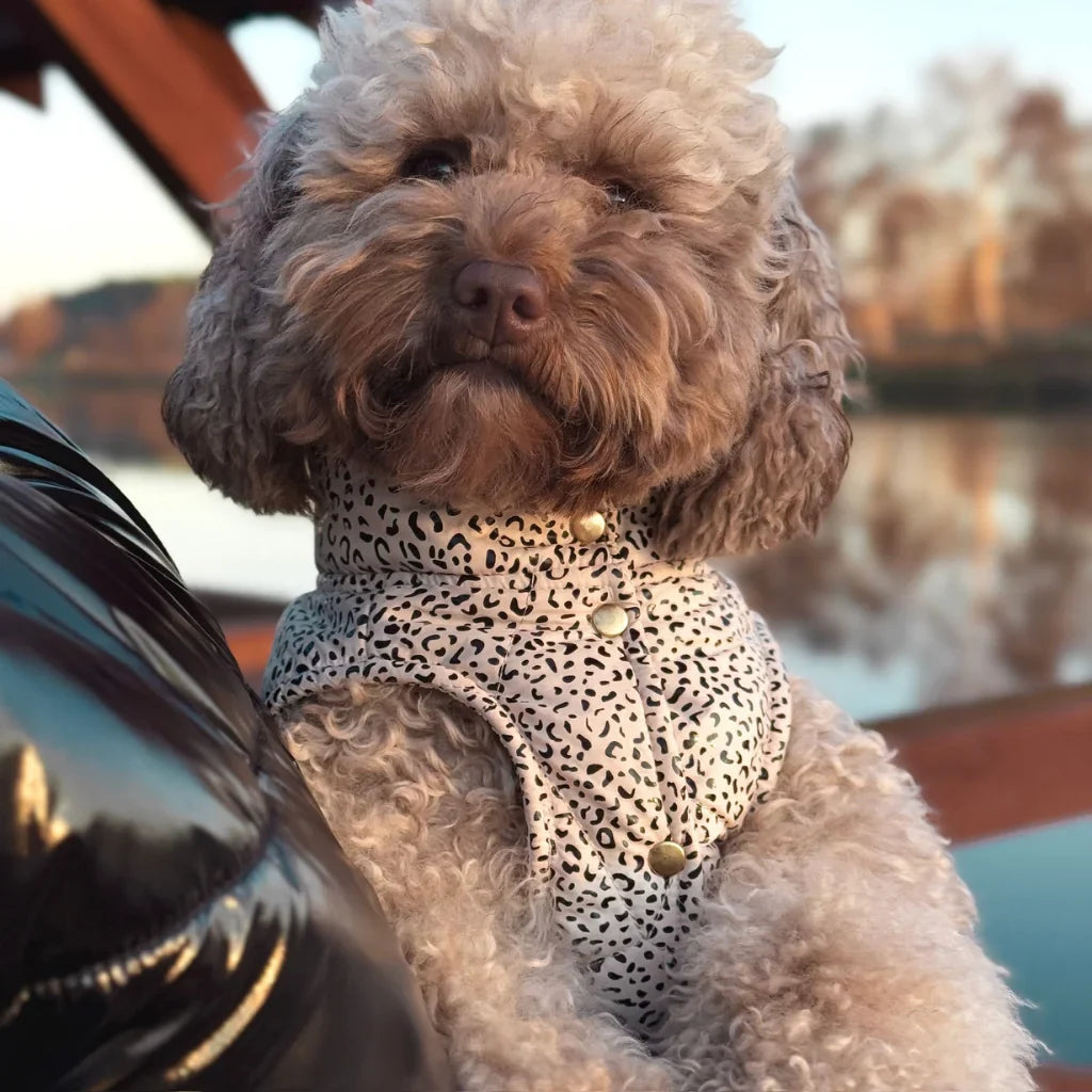 Zimní bunda pro psa s leopardím vzorem – světle béžová