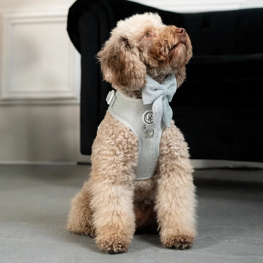 Beztlakový postroj pro psa – stříbrný lesklý