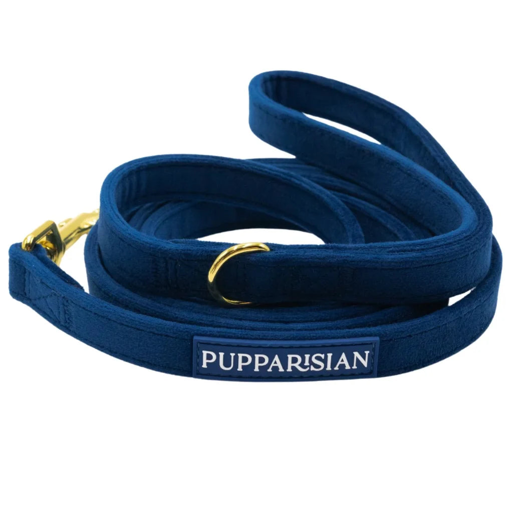 Sametové městské vodítko pro psa – tmavě modré 190 cm