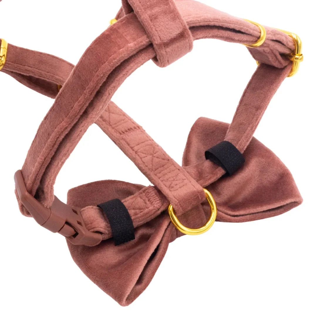 Welurowe szelki guard dla psa 2.0 - ceglasty róż