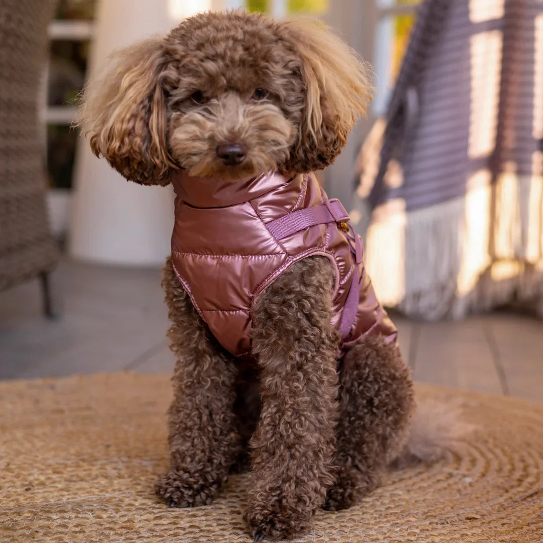 Zimní bunda pro psa 2v1 – zateplená a voděodolná - růžová