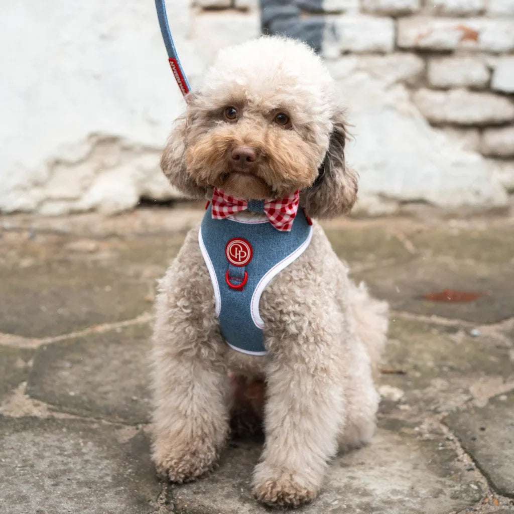 Beztlakový postroj pro psa – jeansový