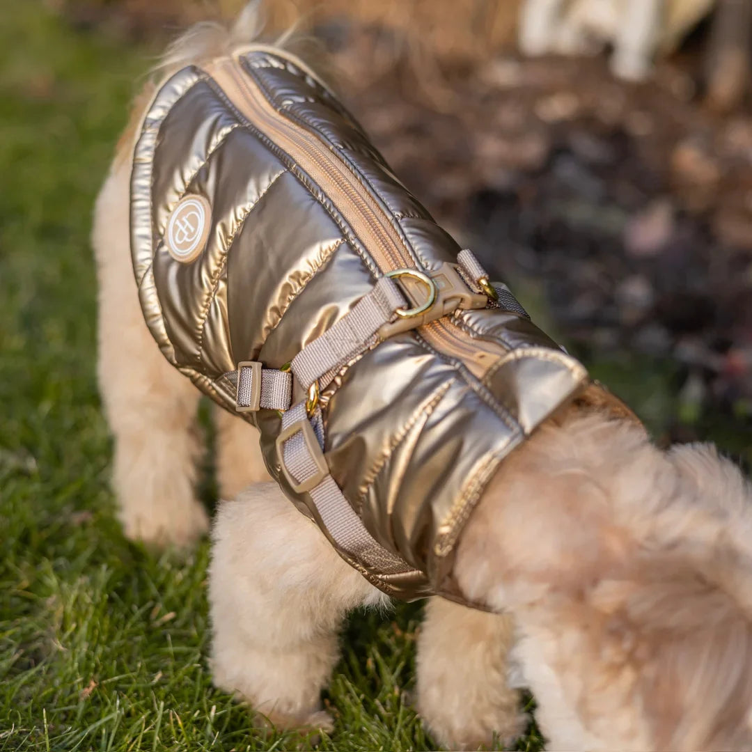 Kurtka dla psa zimowa 2w1 ocieplana wodoodporna - Złota