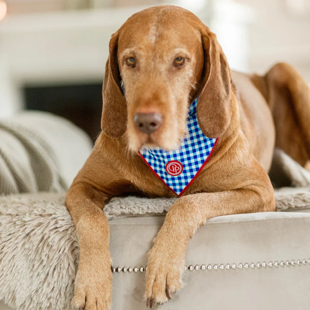 Bandana pro psa v kostce