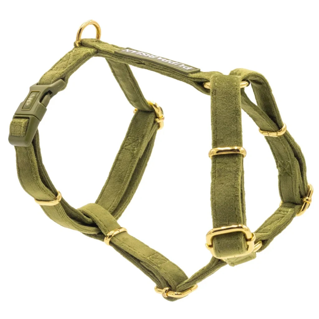 Sametový postroj typu guard pro psa 2.0 – olivově zelený