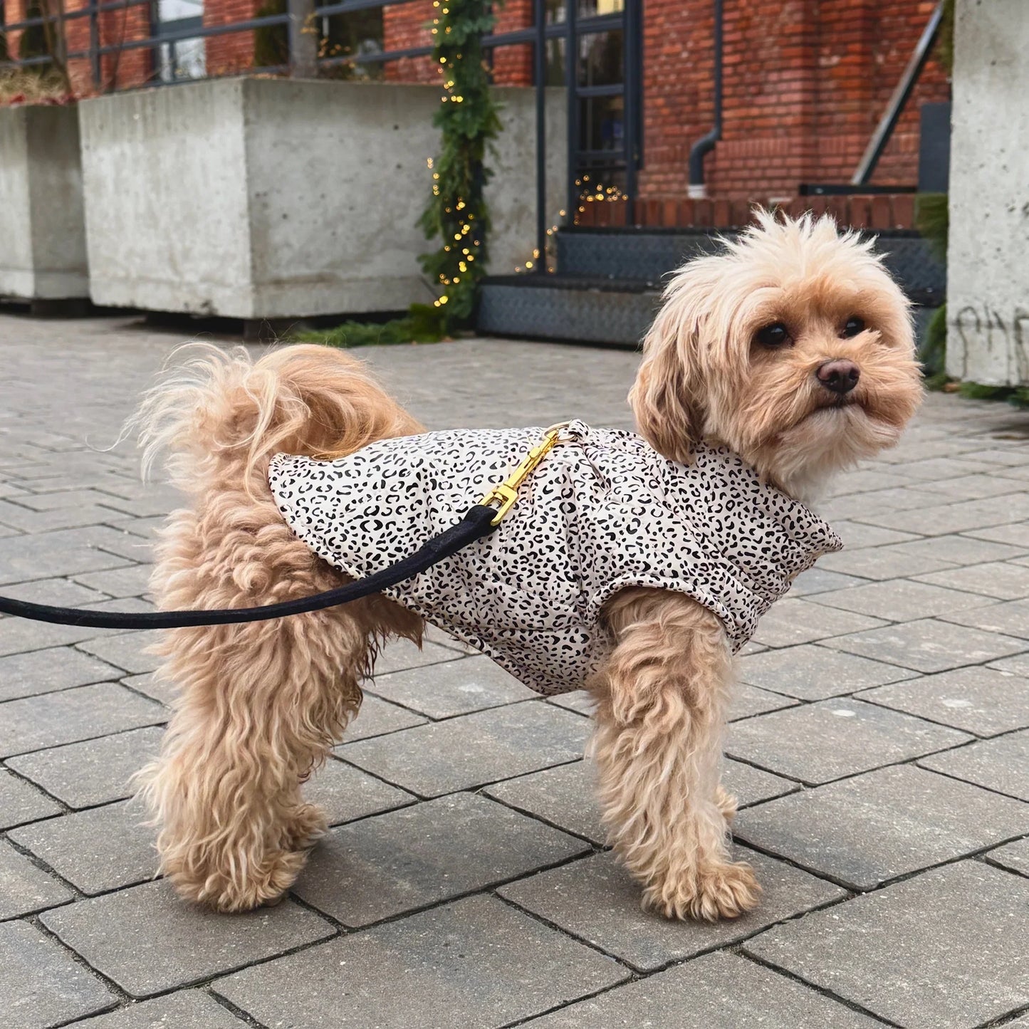 Zimní bunda pro psa s leopardím vzorem – světle béžová