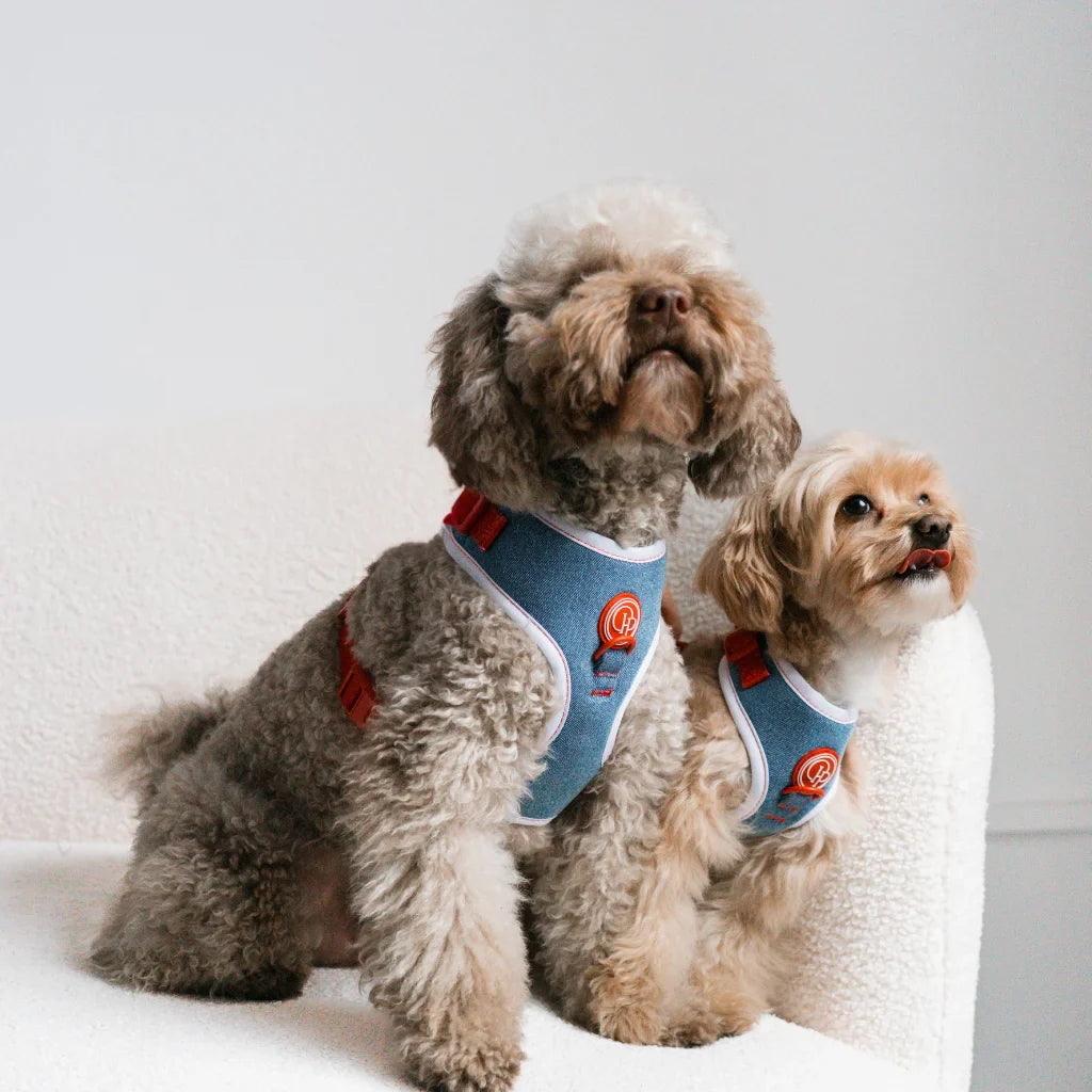 Beztlakový postroj pro psa – jeansový