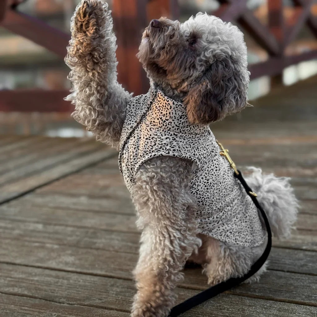 Zimní bunda pro psa s leopardím vzorem – světle béžová