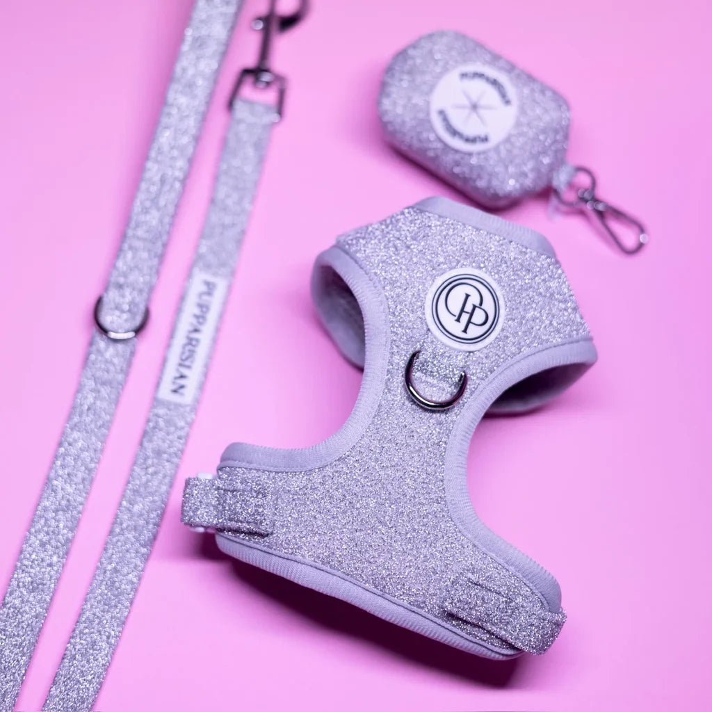 Městské vodítko pro psa 190 cm – stříbrné lesklé