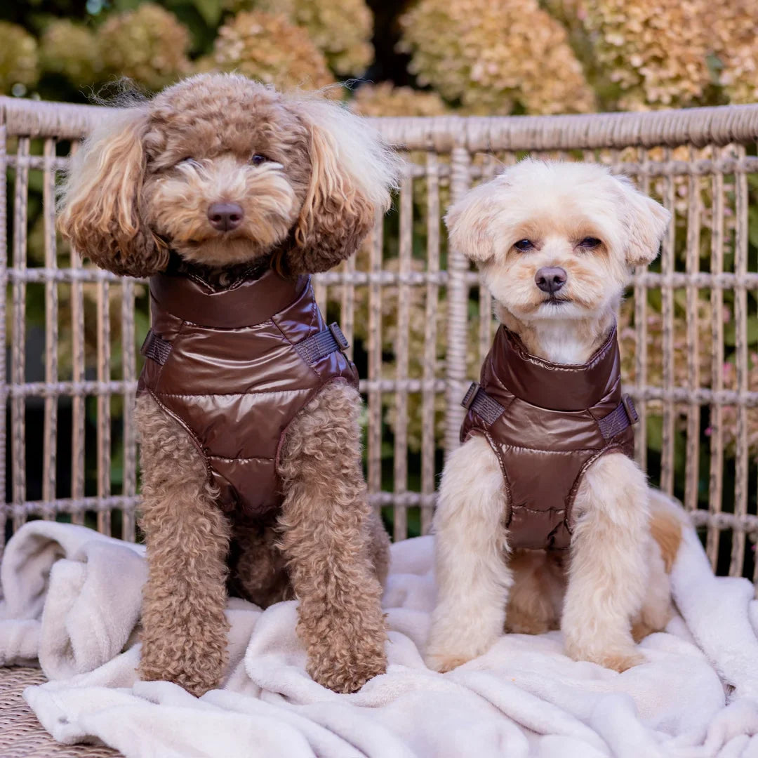 Kurtka dla psa zimowa 2w1 ocieplana wodoodporna - Brązowa