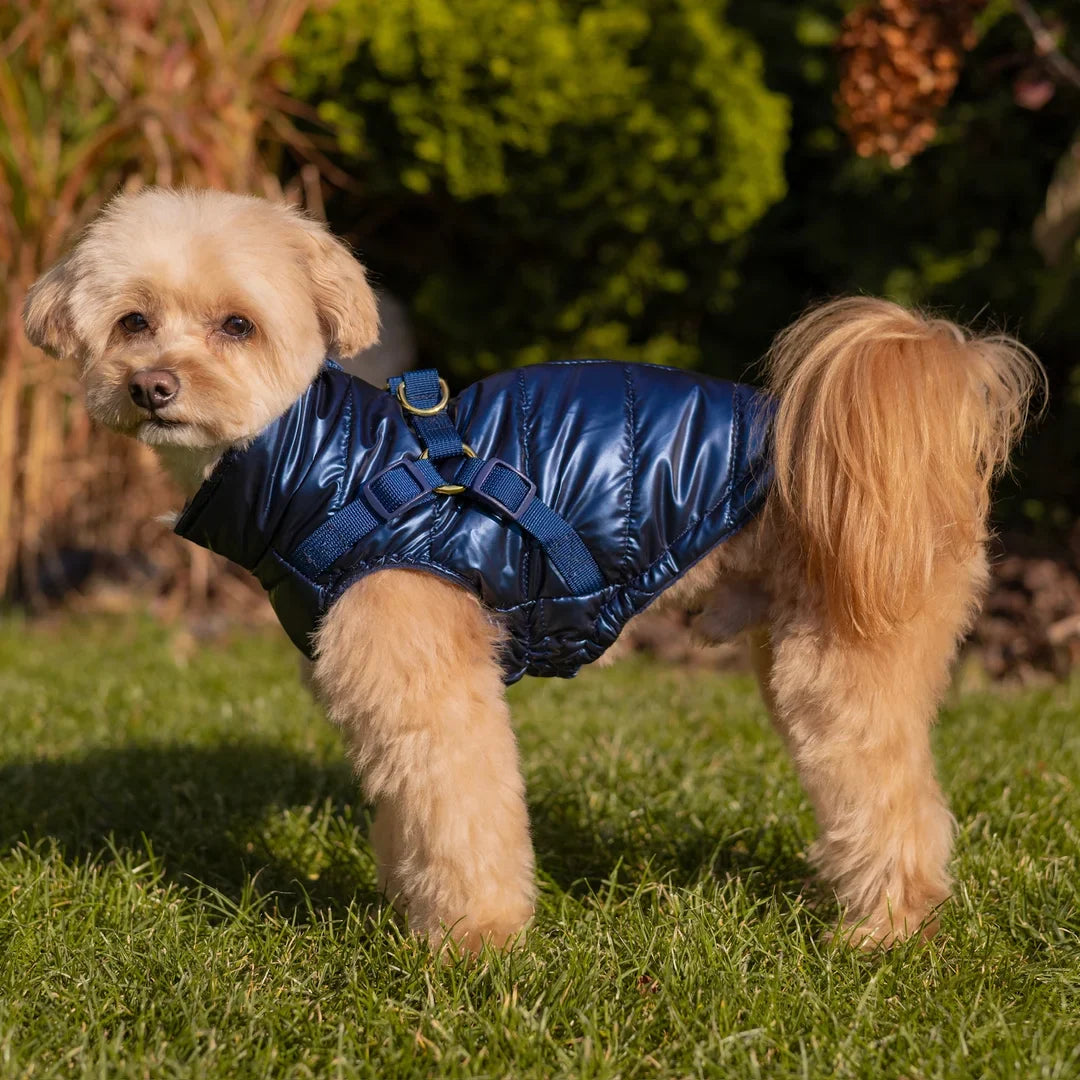Kurtka dla psa zimowa 2w1 ocieplana wodoodporna - Granatowa
