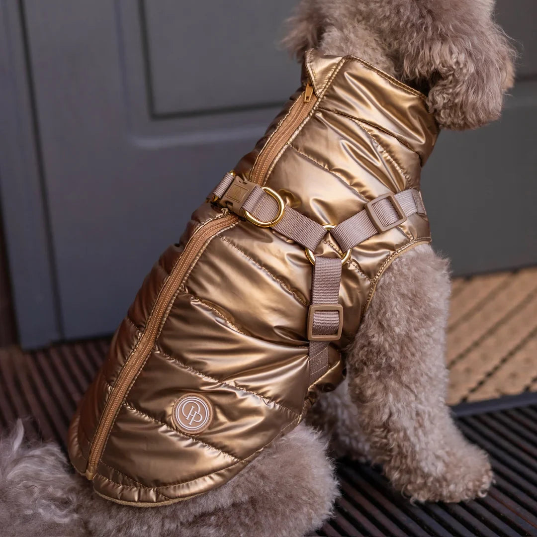Kurtka dla psa zimowa 2w1 ocieplana wodoodporna - Złota